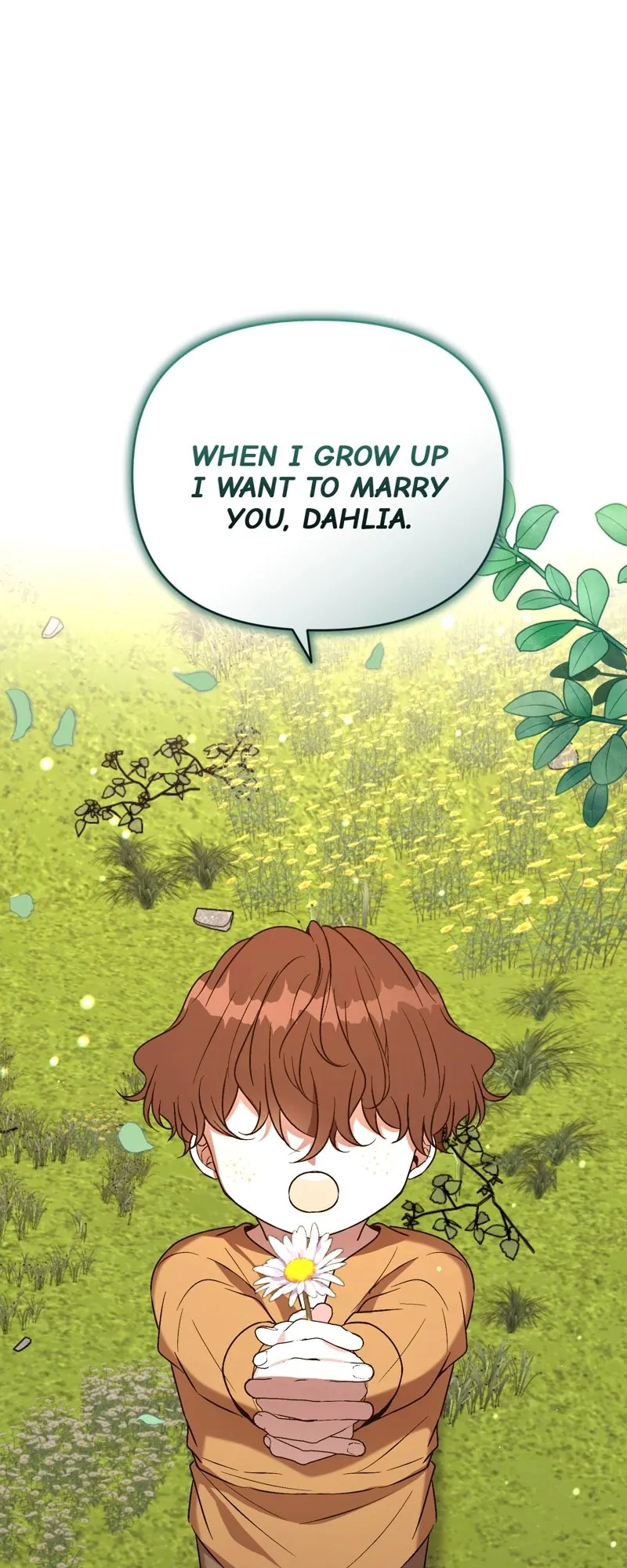 49428103 800 2000 158192